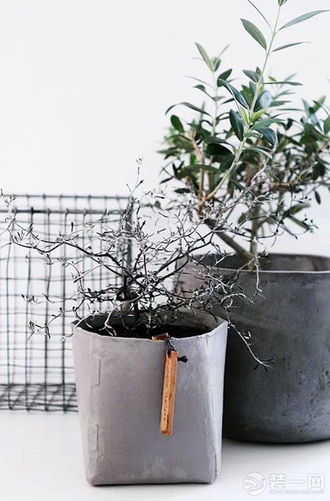 现代家居这样装修也很美 植物盆栽显禅意